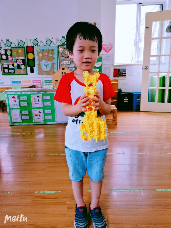 长鼻子大象